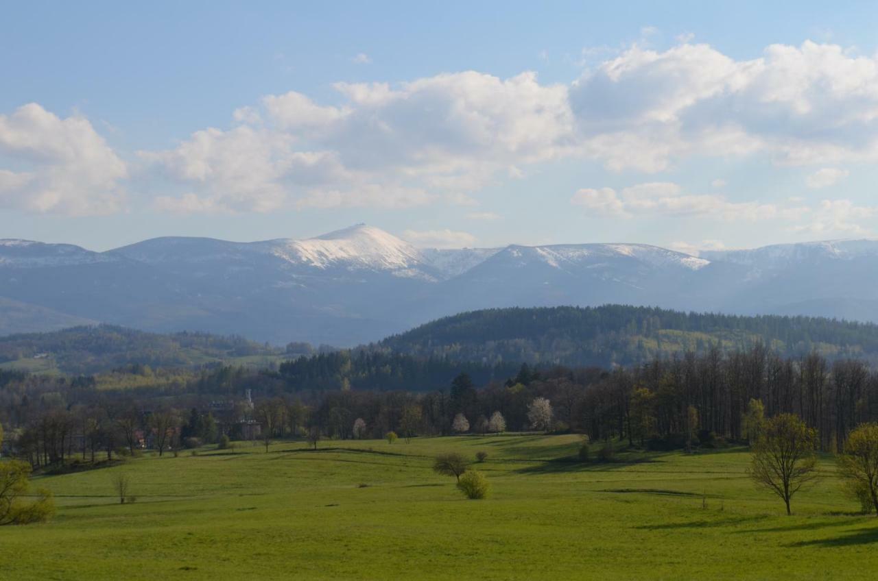 Młyn Karpnicki - Fischbacher Muehle Karpniki Exteriér fotografie